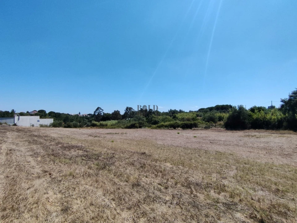Terreno Agricola ou Rústico para Venda em Pontevel Foto 7