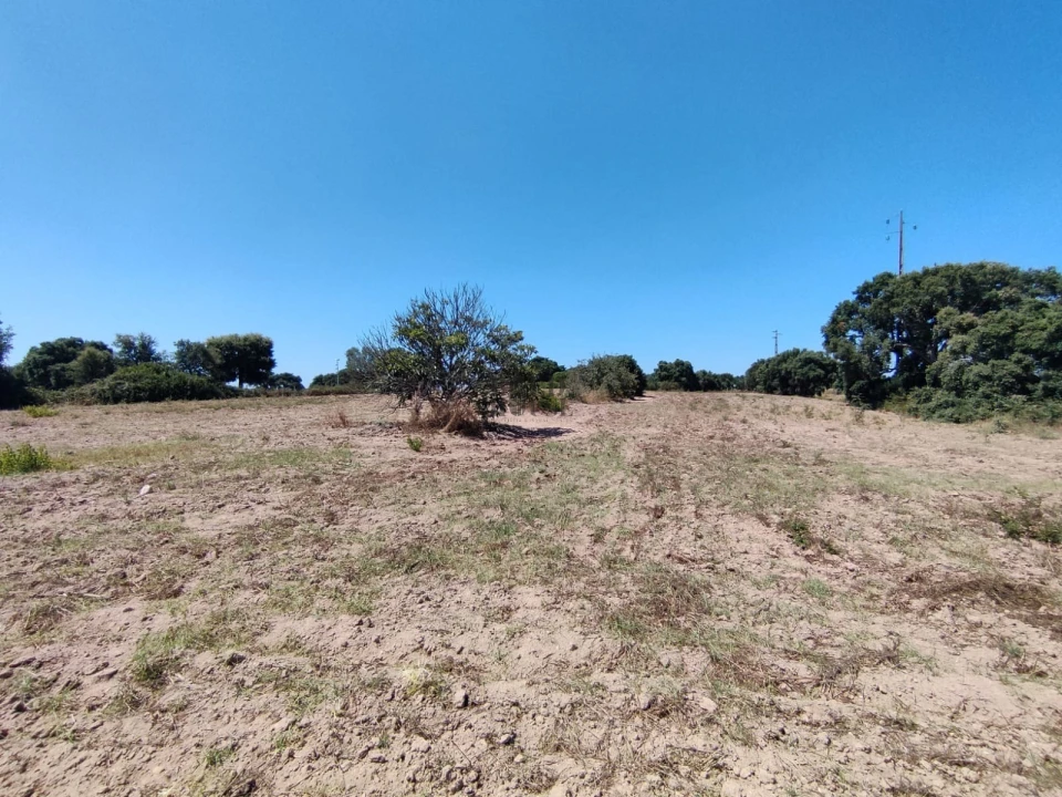 Terreno Agricola ou Rústico para Venda em Pontevel Foto 3