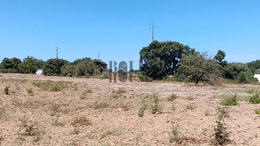 Terreno Agricola ou Rústico para Venda em Pontevel