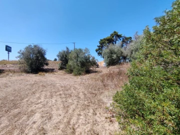 Terreno Agricola ou Rústico para Venda em Cartaxo e Vale da Pinta