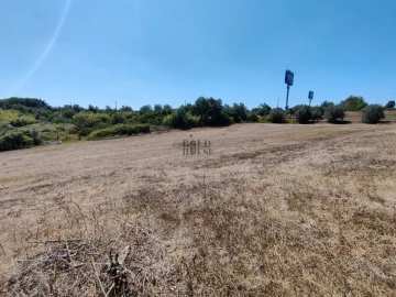 Terreno Agricola ou Rústico para Venda em Cartaxo e Vale da Pinta