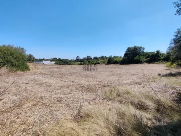 Terreno Agricola ou Rústico para Venda em Cartaxo e Vale da Pinta