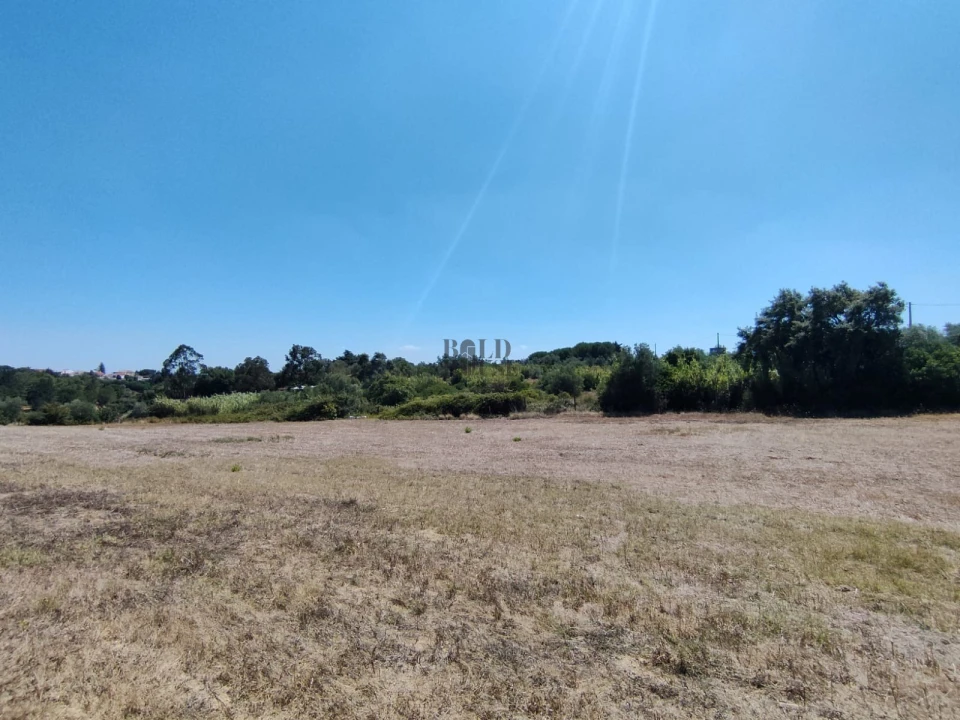 Terreno Agricola ou Rústico para Venda em Cartaxo e Vale da Pinta Foto 1