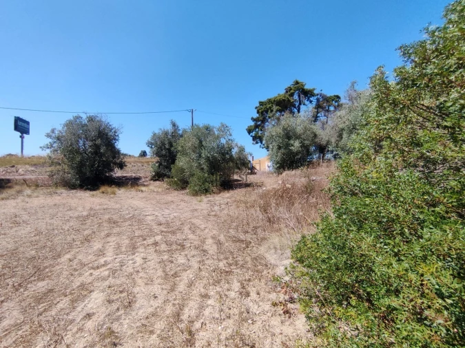 Terreno Agricola ou Rústico para Venda em Cartaxo e Vale da Pinta Foto 2