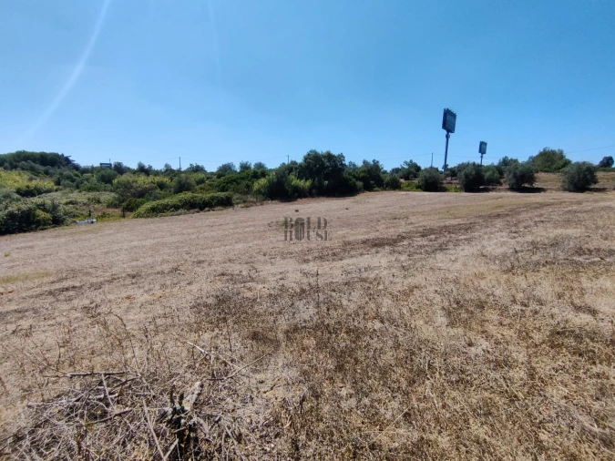 Terreno Agricola ou Rústico para Venda em Cartaxo e Vale da Pinta Foto 3