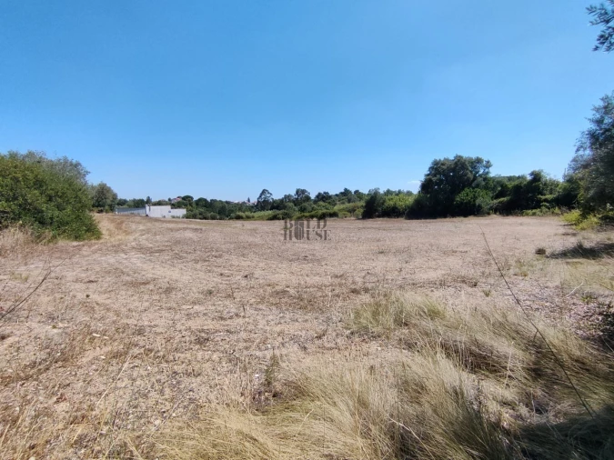 Terreno Agricola ou Rústico para Venda em Cartaxo e Vale da Pinta Foto 5