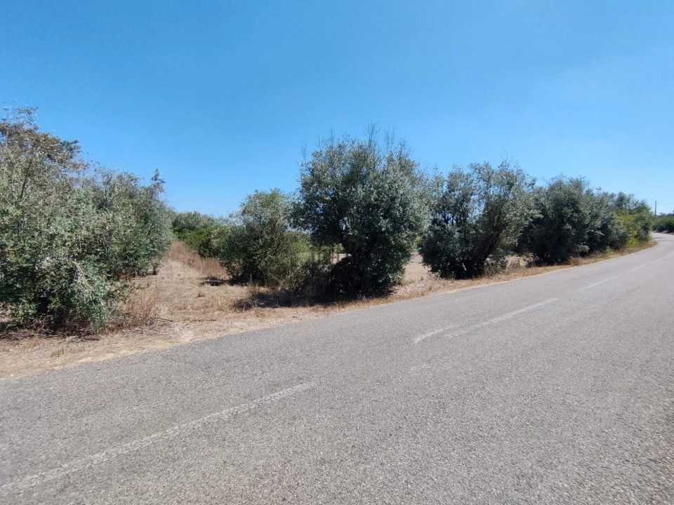 Terreno Agricola ou Rústico para Venda em Cartaxo e Vale da Pinta Foto 6