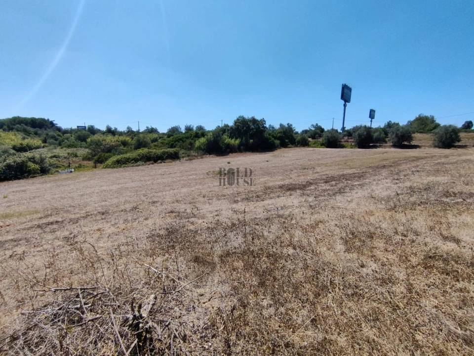 Terreno Agricola ou Rústico para Venda em Cartaxo e Vale da Pinta Foto 3