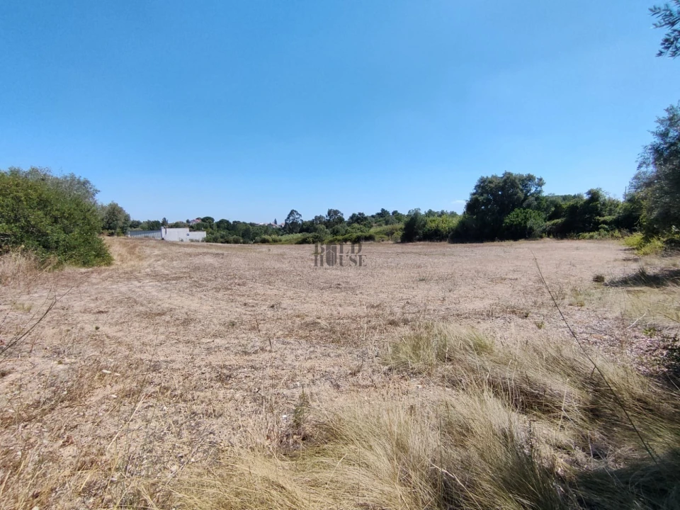 Terreno Agricola ou Rústico para Venda em Cartaxo e Vale da Pinta Foto 5
