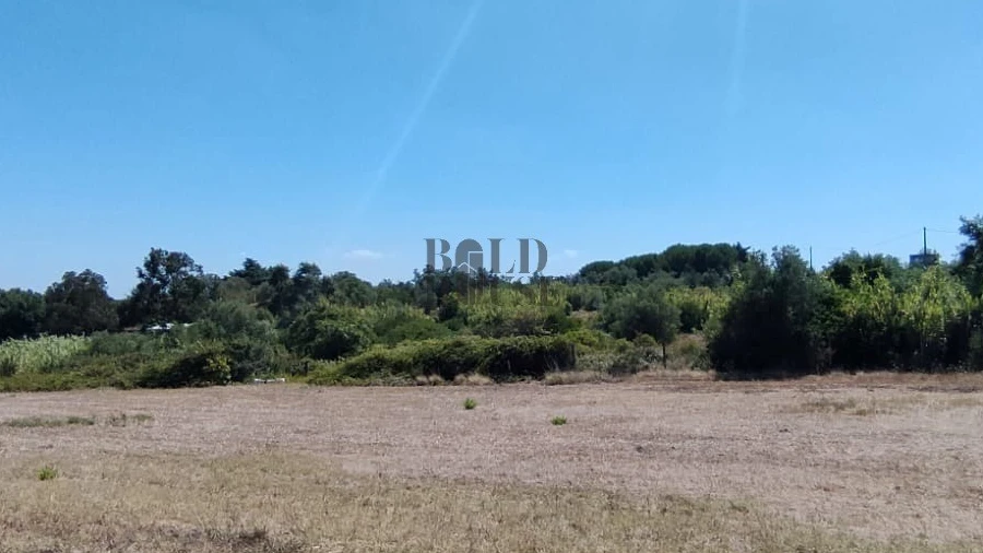 Terreno Agricola ou Rústico para Venda em Cartaxo e Vale da Pinta
