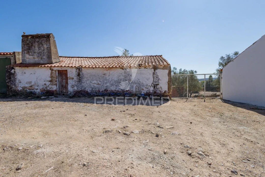 Moradia T1 para Venda em Gafanhoeira (São Pedro) e Sabugueiro Foto 1