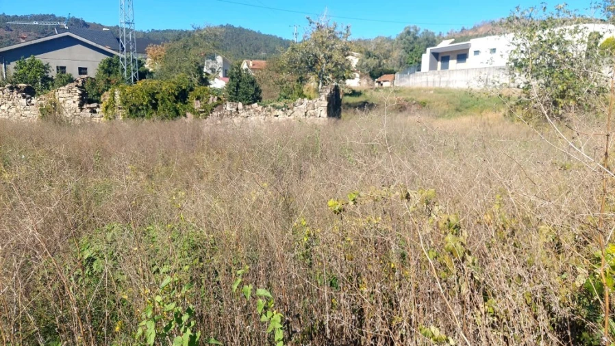 Terreno para Venda em Briteiros Santo Estêvão e Donim Foto 6