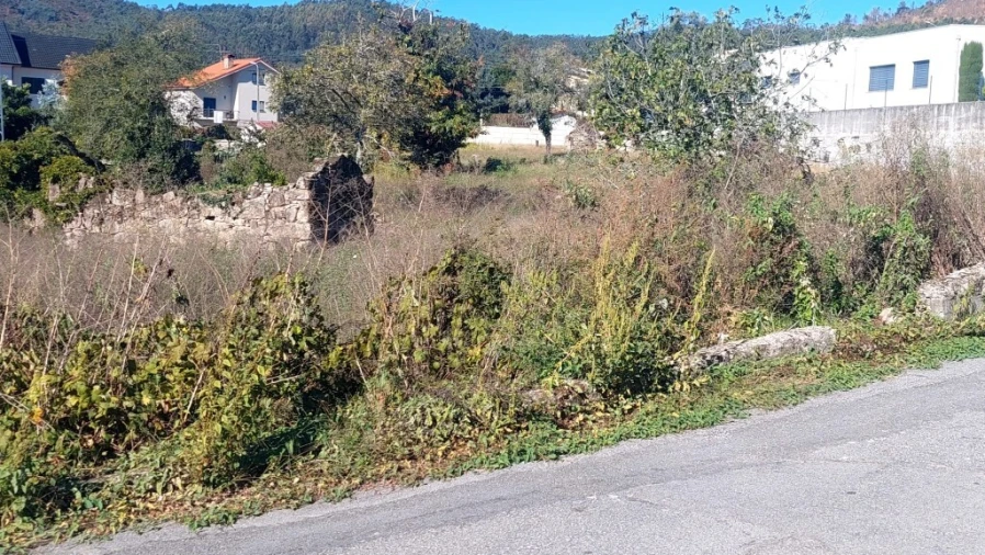 Terreno para Venda em Briteiros Santo Estêvão e Donim Foto 8