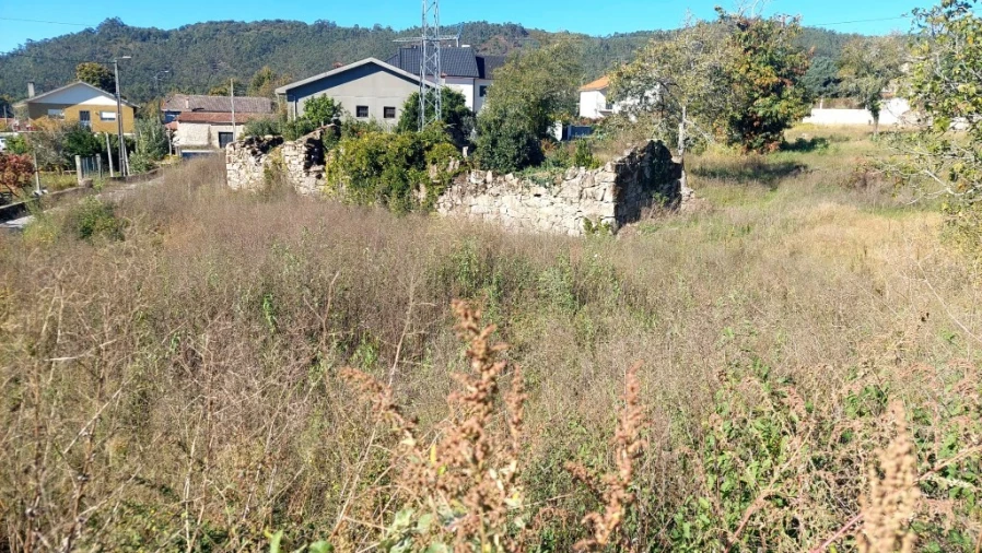 Terreno para Venda em Briteiros Santo Estêvão e Donim Foto 2