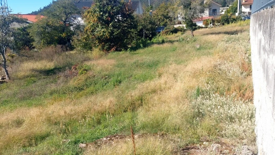 Terreno para Venda em Briteiros Santo Estêvão e Donim Foto 9