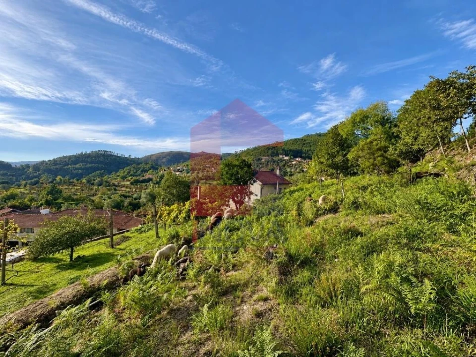 Moradia T2 para Venda em Marrancos e Arcozelo Foto 26