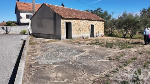 Terreno para Venda em Graça
