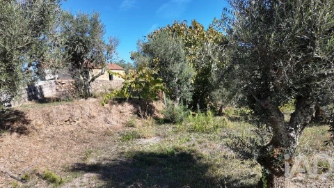 Terreno para Venda em Graça