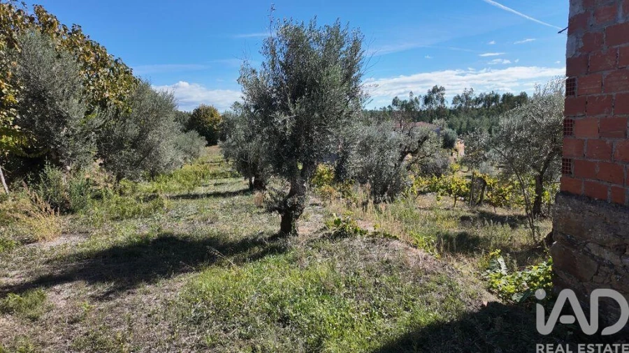 Terreno para Venda em Graça Foto 8