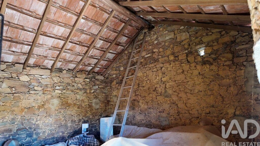 Terreno para Venda em Graça Foto 15