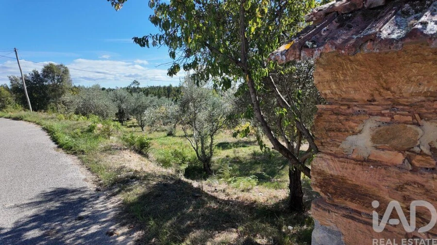 Terreno para Venda em Graça Foto 6