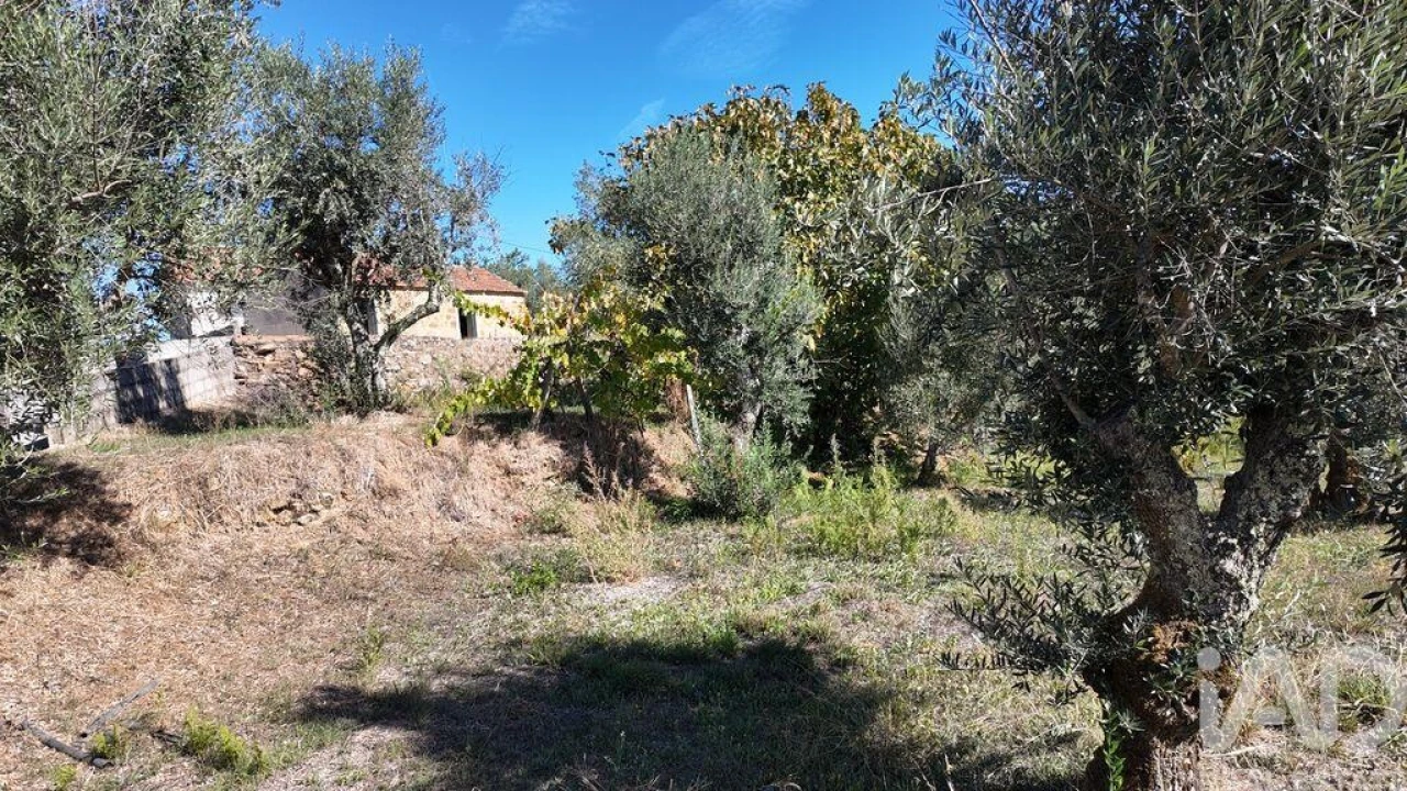 Terreno para Venda em Graça Foto 4
