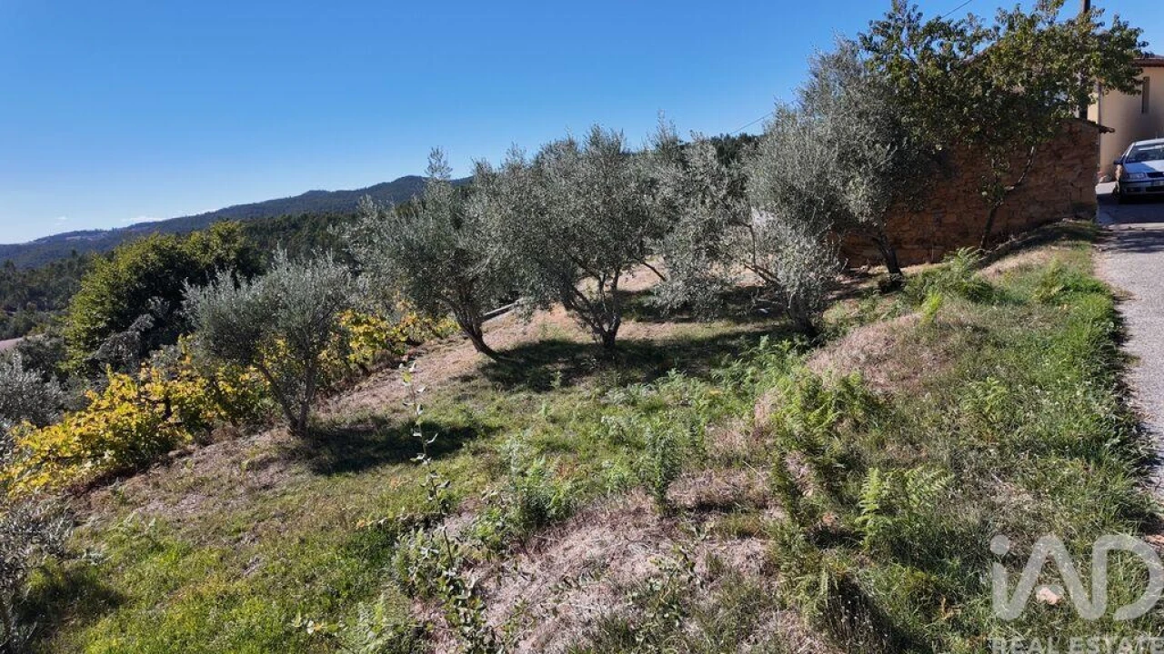 Terreno para Venda em Graça Foto 7