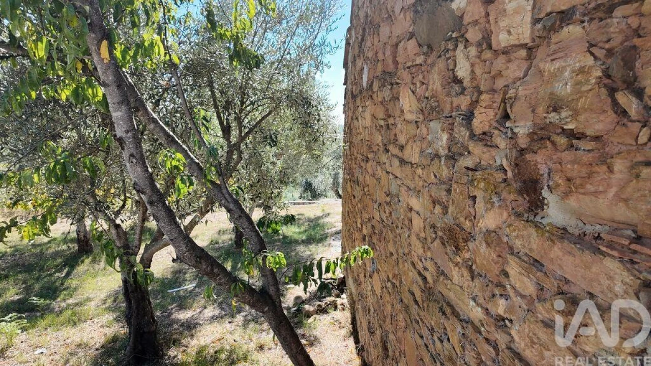 Terreno para Venda em Graça Foto 1