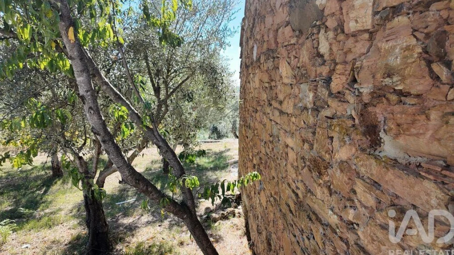Terreno para Venda em Graça