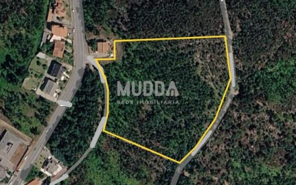 Terreno para Venda em Canedo, Vale e Vila Maior