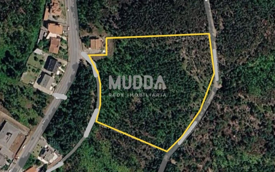 Terreno para Venda em Canedo, Vale e Vila Maior Foto 1