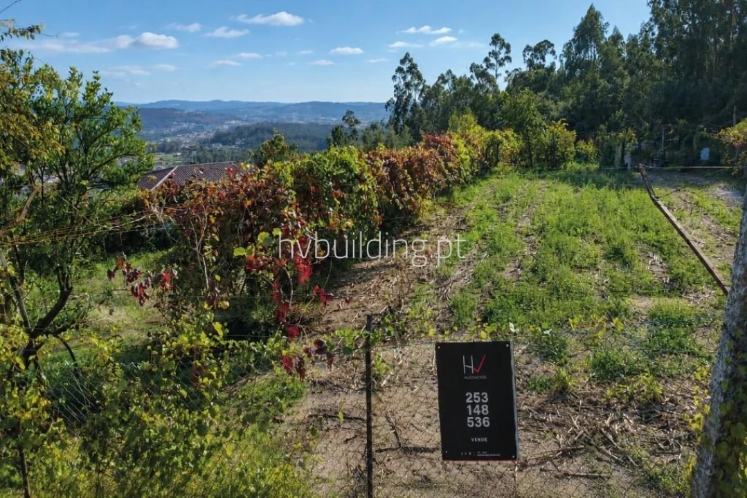 Terreno para Venda em Sequeade e Bastuço (São João e Santo Estêvão) Foto 10