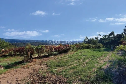 Terreno para Venda em Sequeade e Bastuço (São João e Santo Estêvão)