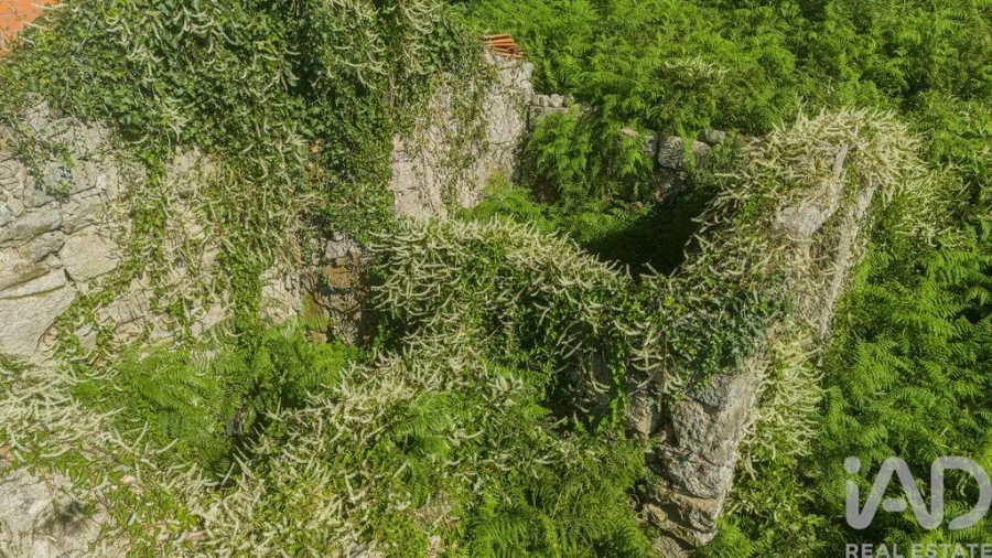 Moradia T1 para Venda em Vila Nova de Cerveira e Lovelhe Foto 23