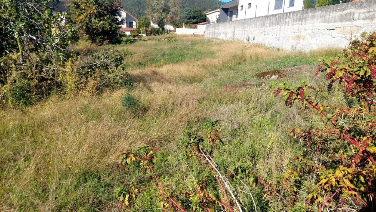 Terreno para Venda em Briteiros Santo Estêvão e Donim Foto 6