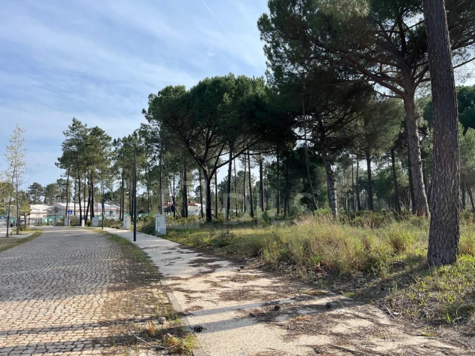 Terreno para Venda em Grândola e Santa Margarida da Serra Foto 6