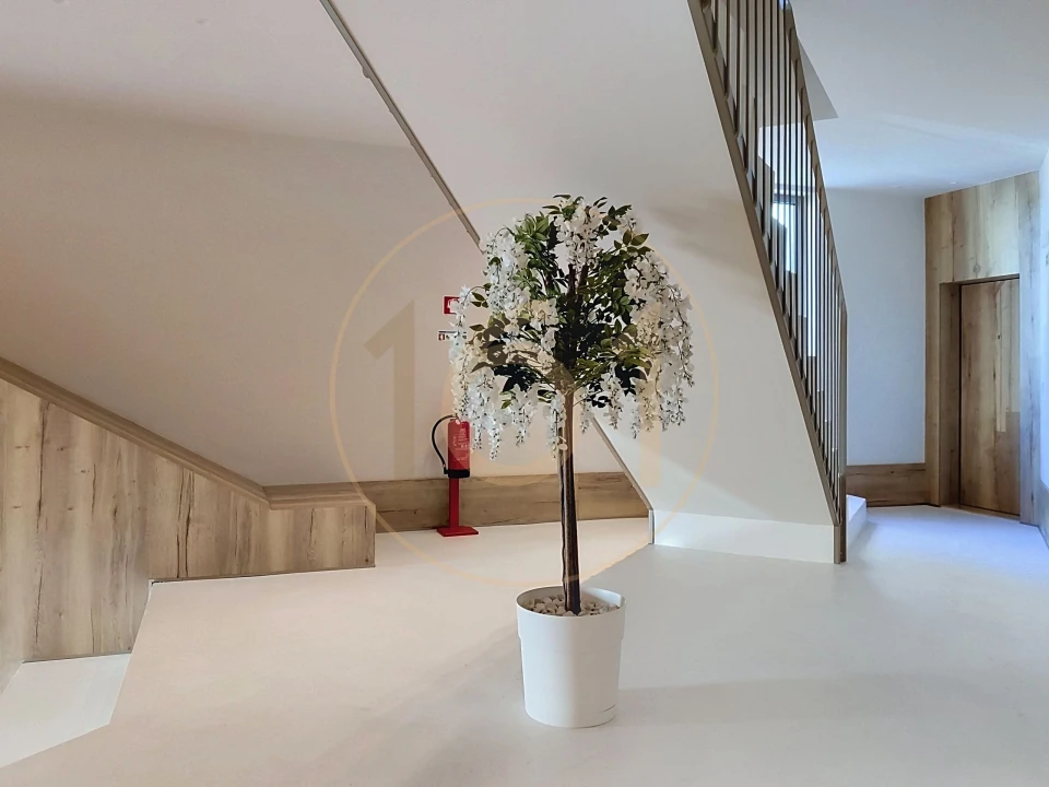 Apartamento T1 para Arrendamento em Santa Marinha e São Pedro da Afurada Foto 14