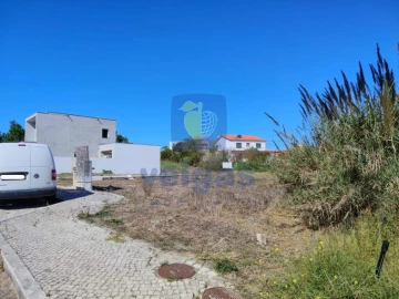 Terreno para Venda em Tornada e Salir do Porto