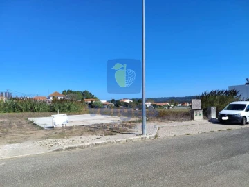 Terreno para Venda em Tornada e Salir do Porto
