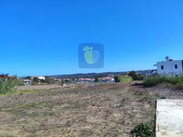 Terreno para Venda em Tornada e Salir do Porto