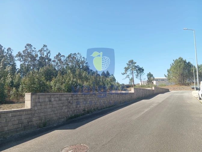 Terreno para Venda em Tornada e Salir do Porto Foto 8