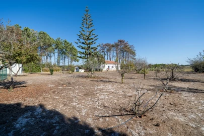 Moradia T3 para Venda em Rogil