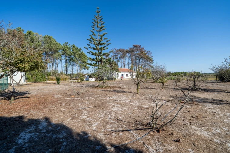 Moradia T3 para Venda em Rogil Foto 49