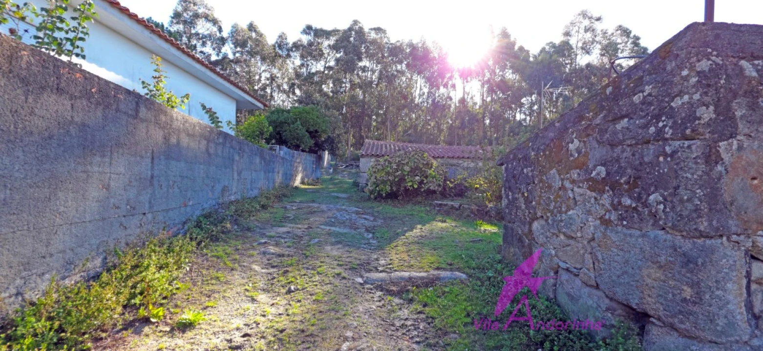 Moradia T4 para Venda em Perre Foto 7