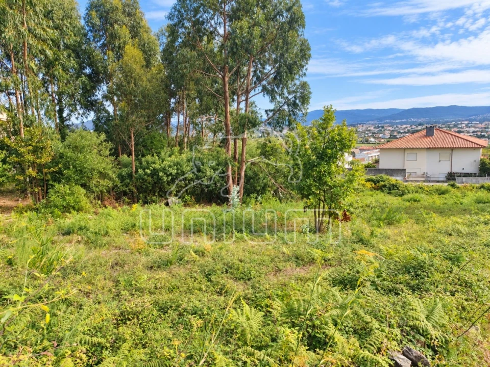 Terreno para Venda em Santa Maria Maior e Monserrate e Meadela Foto 2