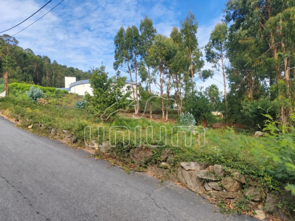 Terreno para Venda em Santa Maria Maior e Monserrate e Meadela Foto 3