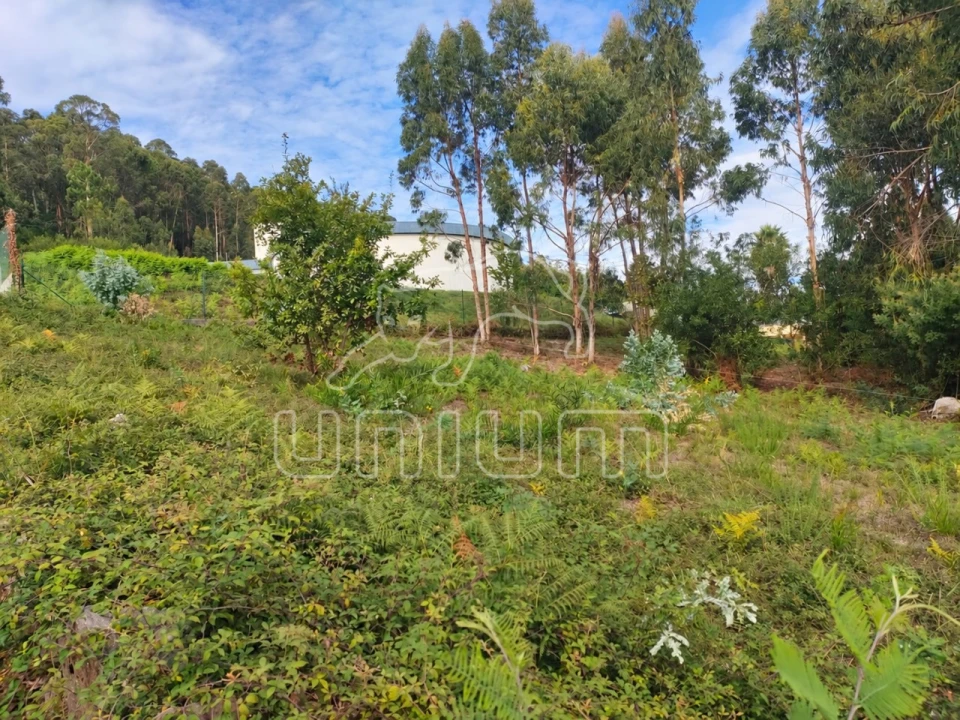 Terreno para Venda em Santa Maria Maior e Monserrate e Meadela Foto 4