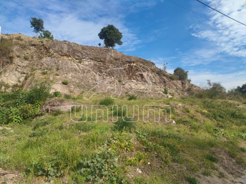 Terreno para Venda em Cardielos e Serreleis Foto 4