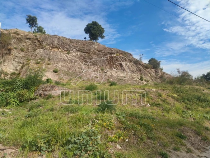 Terreno para Venda em Cardielos e Serreleis Foto 4