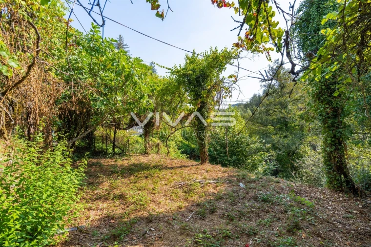Moradia T3 para Venda em Vieira do Minho Foto 23